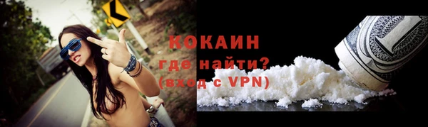 гидра Ельня