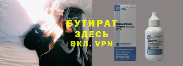 гидра Ельня