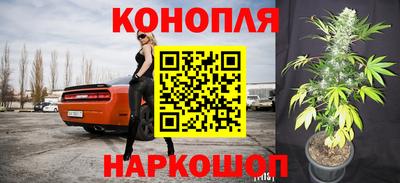 прущие грибы Ливны