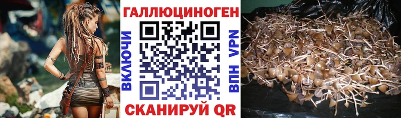 МЕГА вход  купить   Ефремов  Галлюциногенные грибы GOLDEN TEACHER 
