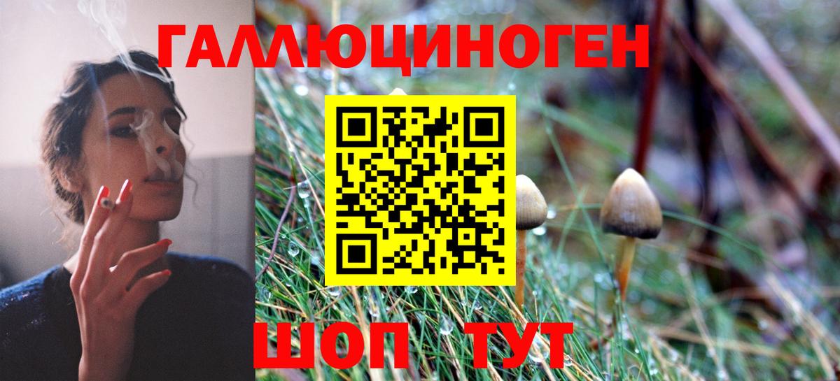 Псилоцибиновые грибы Magic Shrooms  Вход с VPN  Галлюциногенные грибы Psilocybine cubensis  Ефремов 